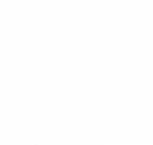 Logo-Taximes-Blanco.png